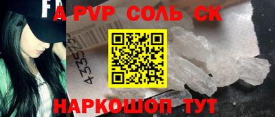бошки Кингисепп
