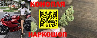 бошки Кингисепп