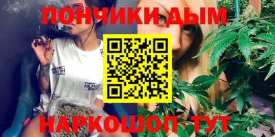 бошки Кингисепп