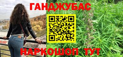 бошки Кингисепп