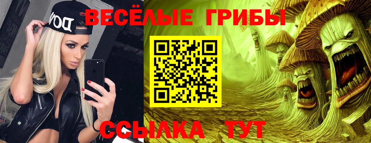 Псилоцибиновые грибы Psilocybine cubensis  Галлюциногенные грибы ЛСД  Вход с VPN  Чехов 